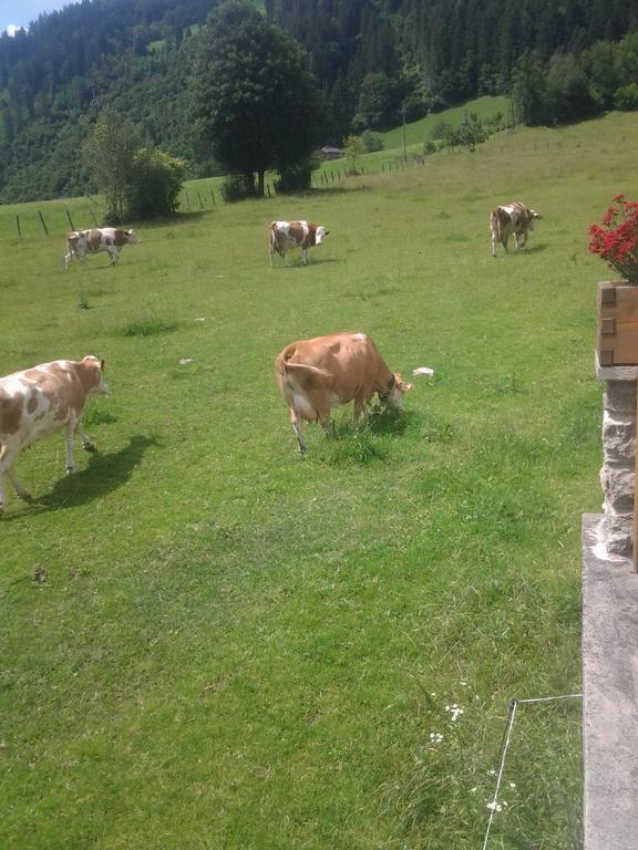 Ferienwohnungen Behamhof Neukirchen am Großvenediger Buitenkant foto