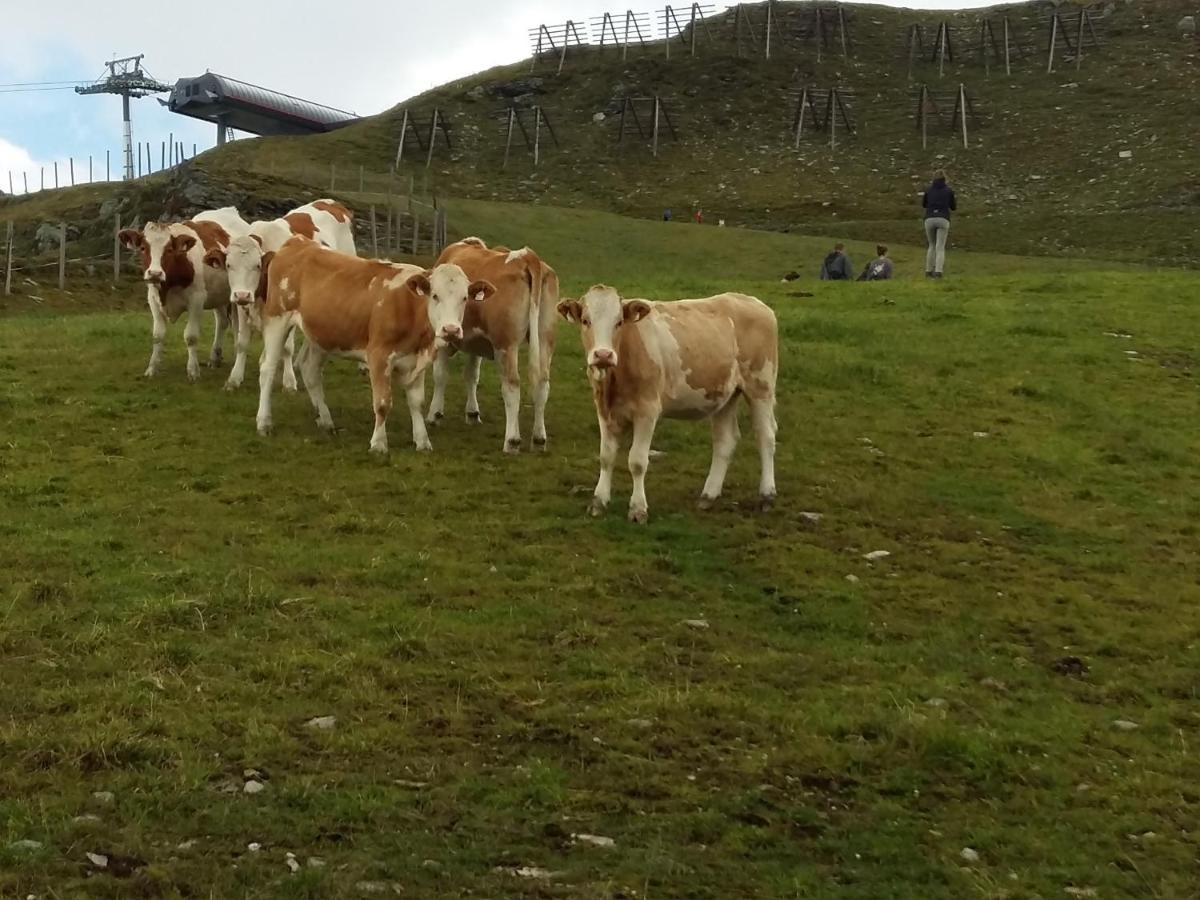 Ferienwohnungen Behamhof Neukirchen am Großvenediger Buitenkant foto